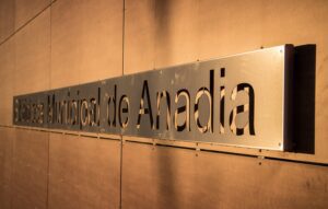 Biblioteca de Anadia comemora sábado 18º aniversário