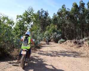Vigilância móvel da floresta em Anadia prolongada até 15 de outubro