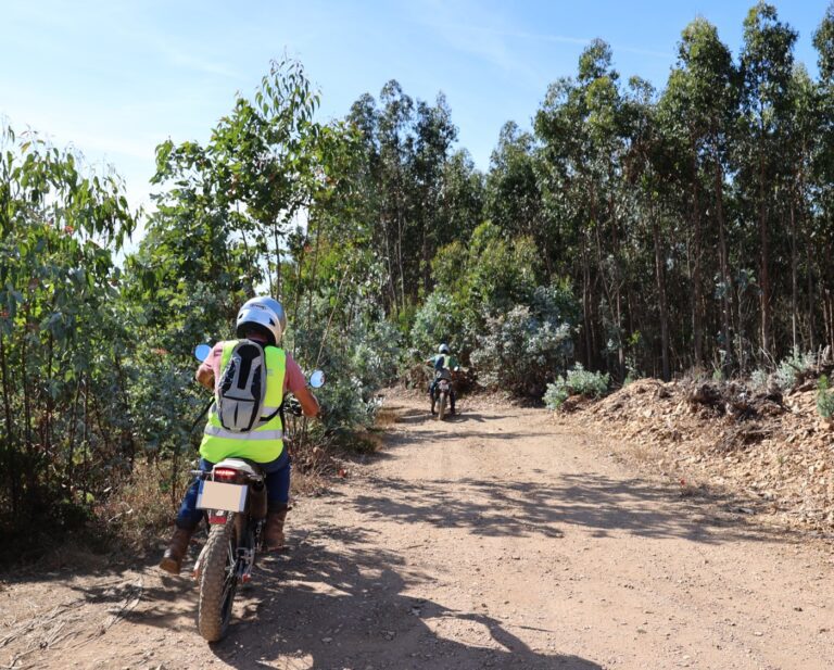 Vigilância móvel da floresta em Anadia prolongada até 15 de outubro