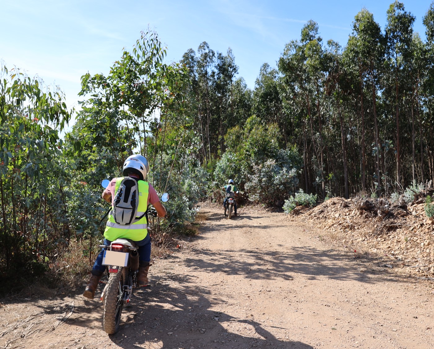 Vigilância móvel da floresta em Anadia prolongada até 15 de outubro