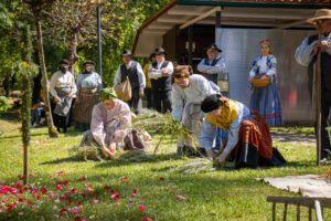 Mealhada assinala Dia dos Moinhos com forte adesão e valorização das tradições locais