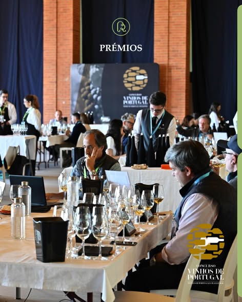 Região da Bairrada distinguida nos Prémios Concurso Vinhos de Portugal 2026