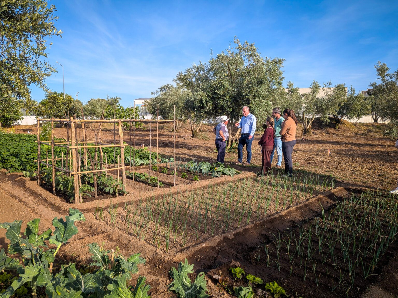 Mealhada reforça compostagem e alarga rede de hortas urbanas