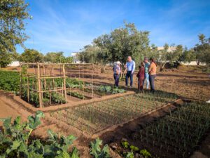 Mealhada reforça compostagem e alarga rede de hortas urbanas