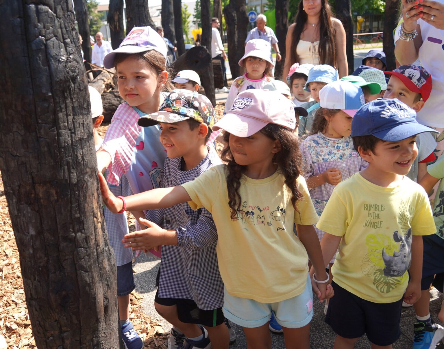“A Última Floresta” confronta público com impacto dos incêndios florestais em Águeda