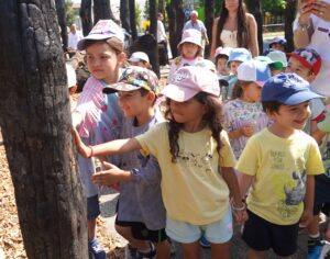 “A Última Floresta” confronta público com impacto dos incêndios florestais em Águeda