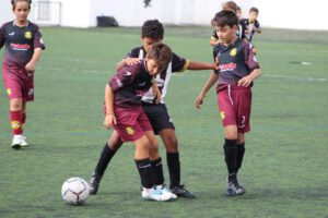 Associações desportivas recebem 89 mil euros para formação em Oliveira do Bairro