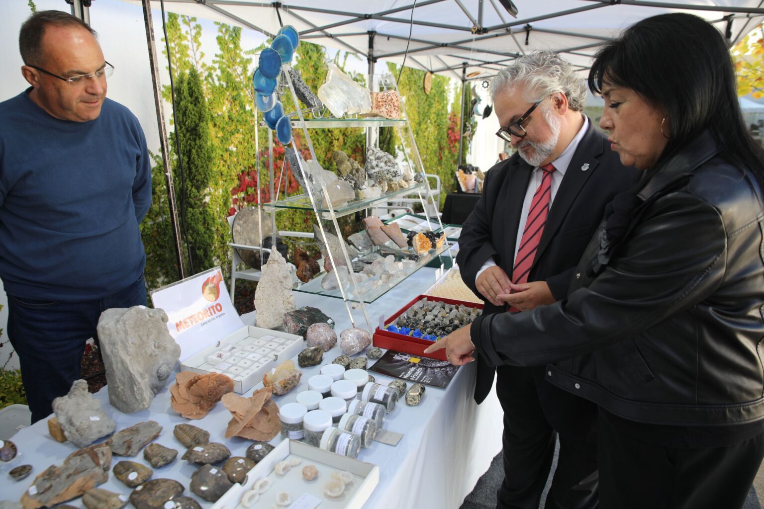 Museu da Pedra em Cantanhede assinalou 25 anos com Feira dos Minerais e Fósseis