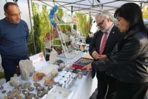 Museu da Pedra em Cantanhede assinalou 25 anos com Feira dos Minerais e Fósseis