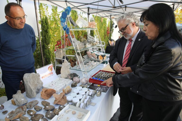 Museu da Pedra em Cantanhede assinalou 25 anos com Feira dos Minerais e Fósseis