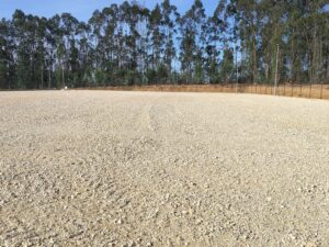 Município de Anadia avança com criação de Ecocentro Florestal