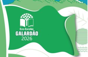 10 Escolas de Anadia com o Galardão Eco-Escolas 2026